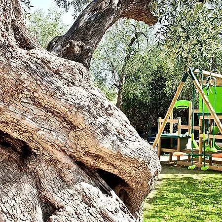 アパートホテル Felicity ヴィエステ